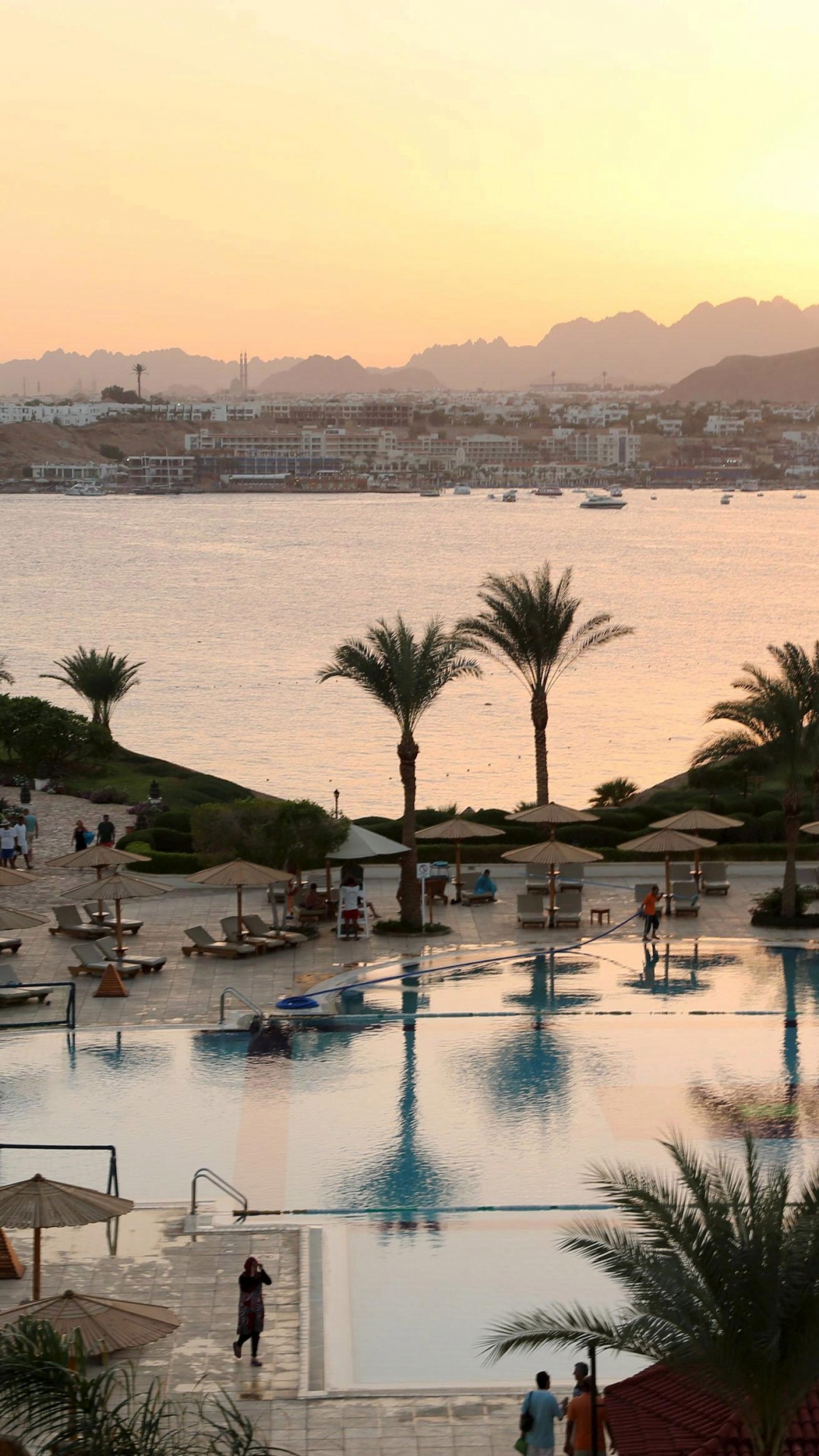 Обои прибежище, отпуск, туризм, плавательный бассейн, Пальма в разрешении 1080x1920