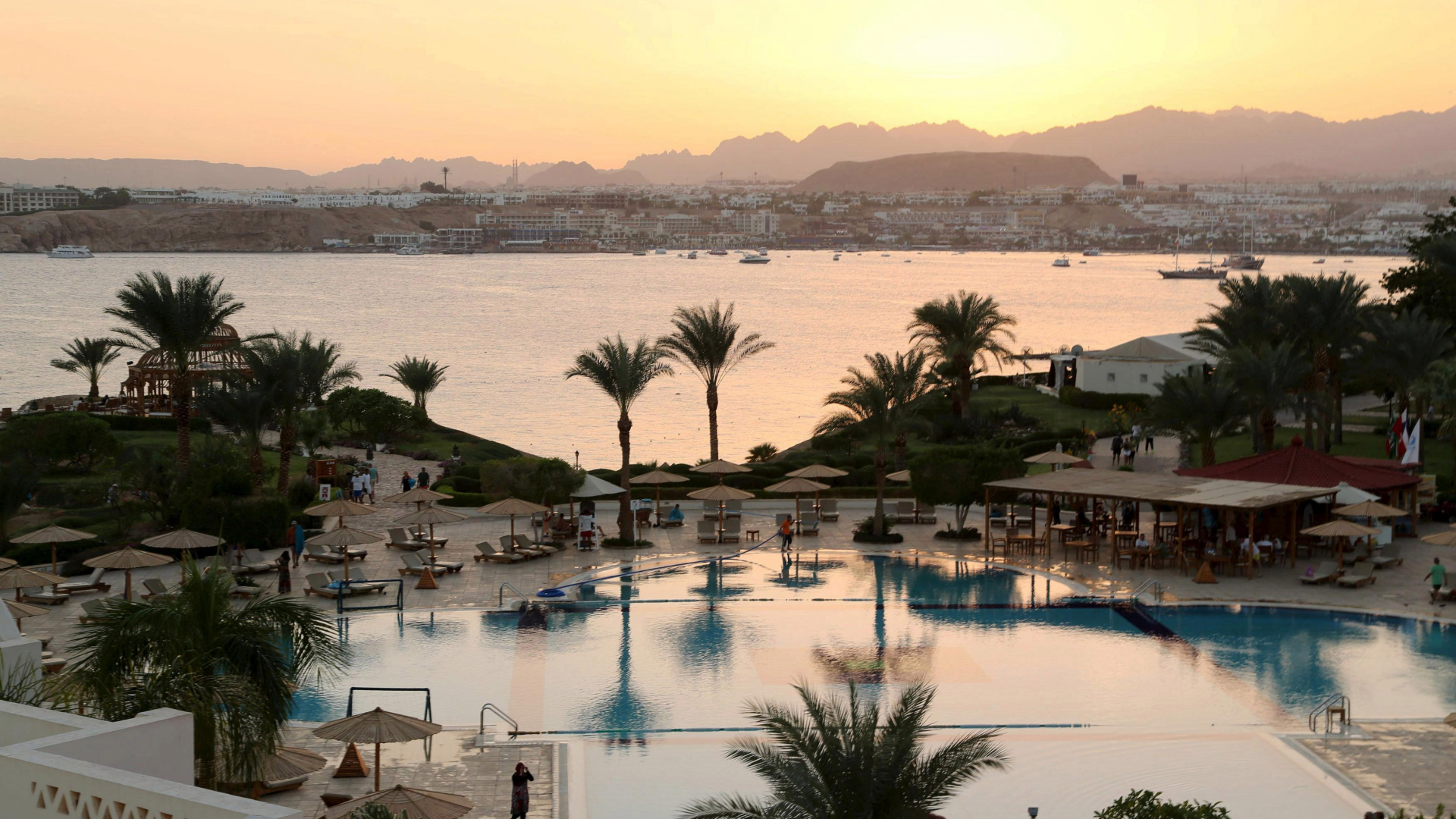 Обои прибежище, отпуск, туризм, плавательный бассейн, Пальма в разрешении 1920x1080