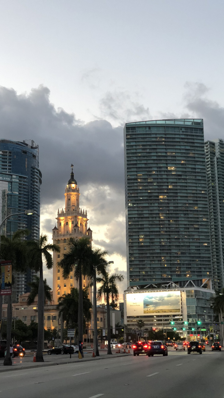Обои Майами, Король, дорога, башня, инфраструктура в разрешении 750x1334