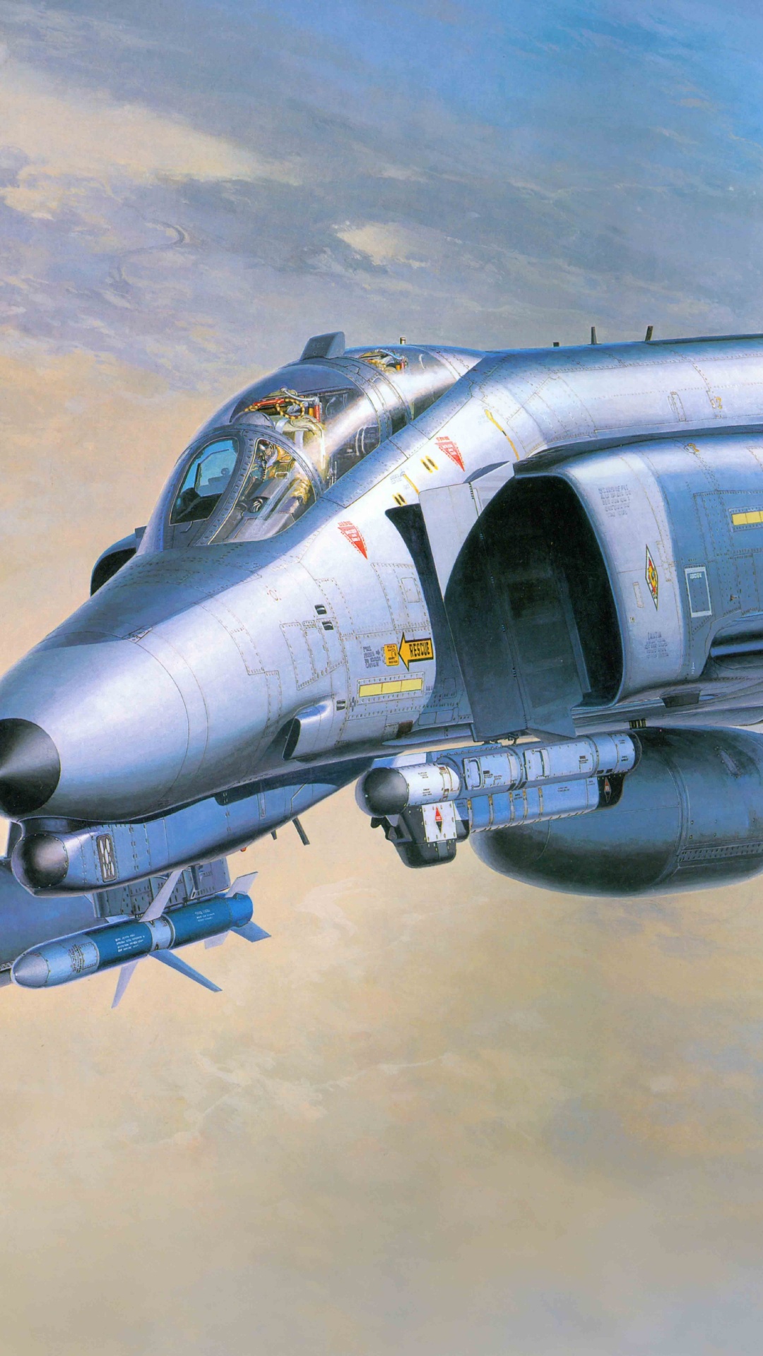 Обои McDonnell Douglas F-4 Phantom II, Дикий Хорек, корпорация хасегава, самолеты, самолет в разрешении 1080x1920