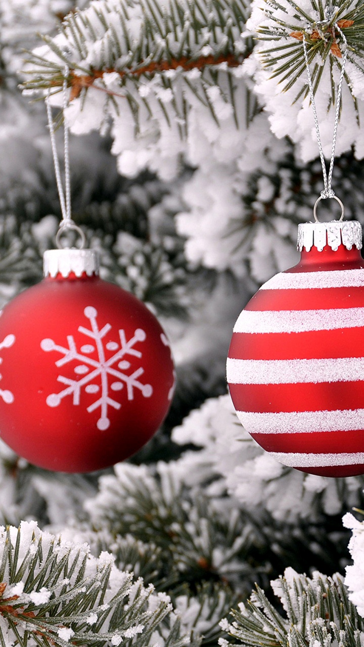 Обои Рождественский день, елка, рождественский орнамент, праздник, дерево в разрешении 720x1280