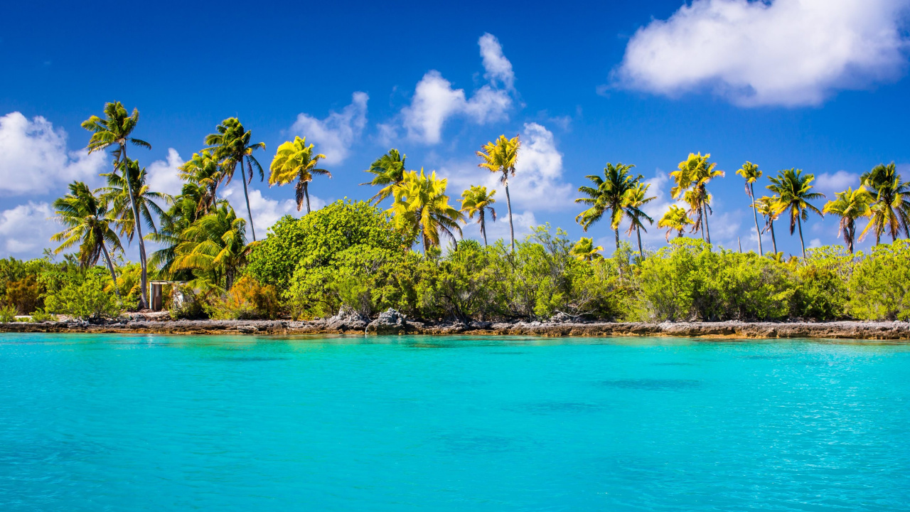 Обои Остров, природа, тропическая зона, растительность, море в разрешении 1280x720