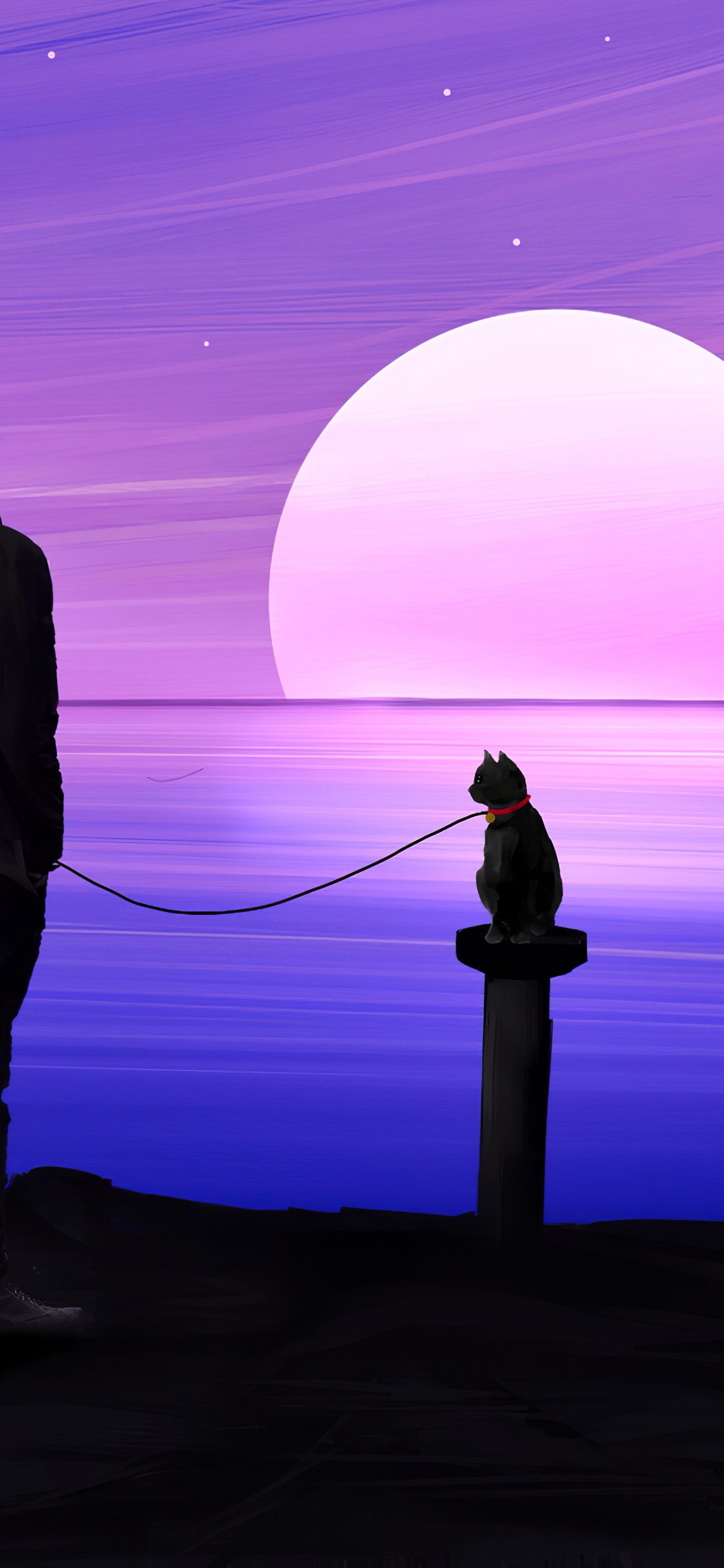 Обои рассвет, силуэт, сумрак, небо, горизонт в разрешении 1242x2688