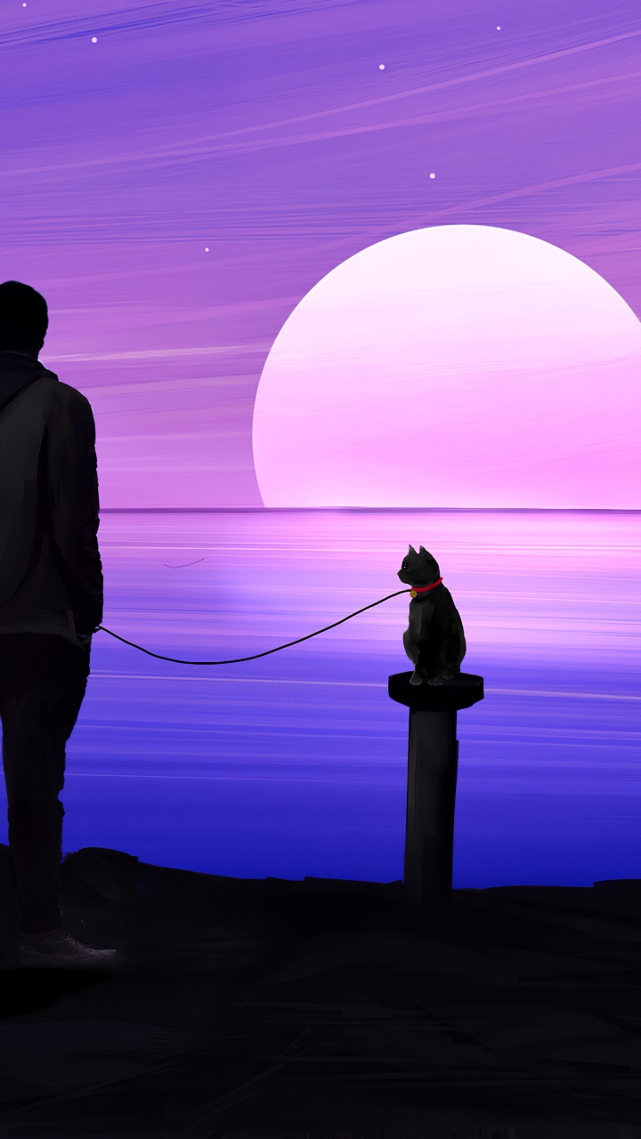 Обои рассвет, силуэт, сумрак, небо, горизонт в разрешении 720x1280