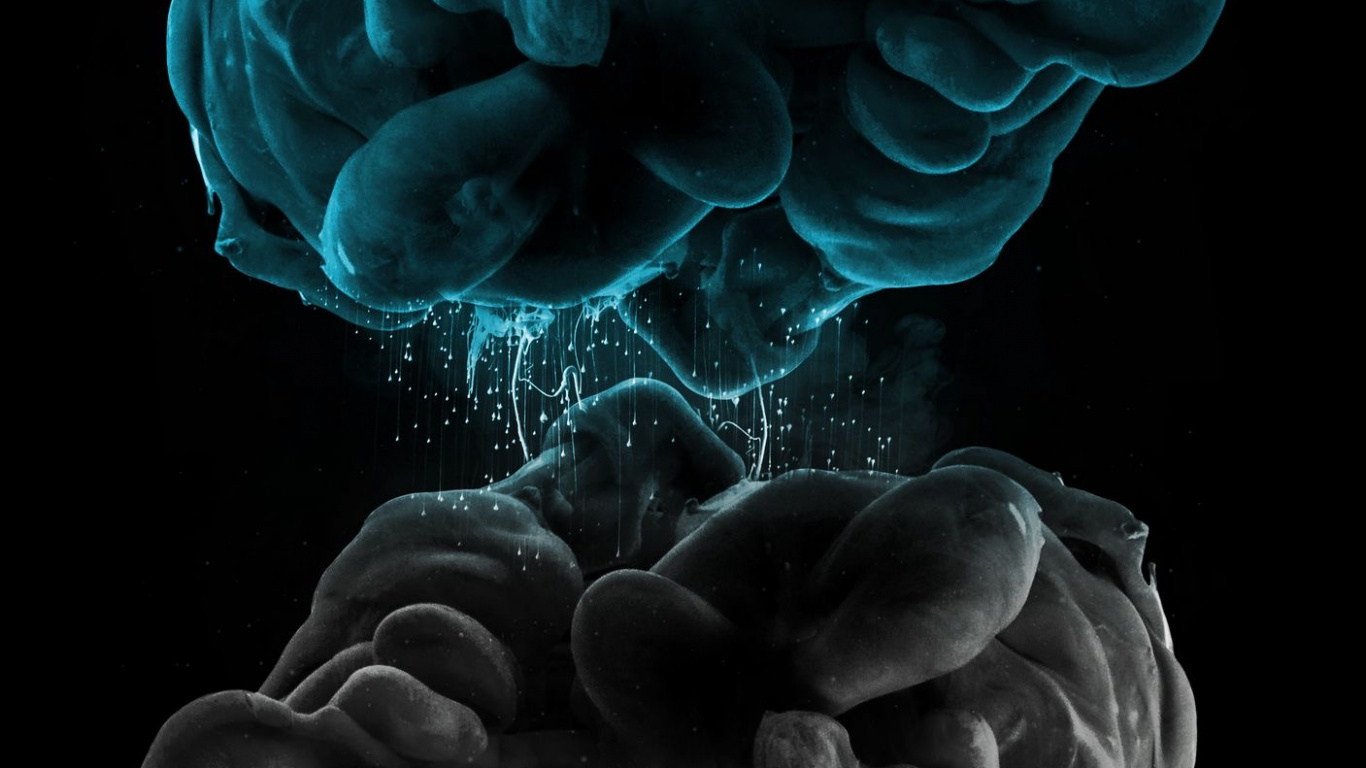 Обои растение, наземное растение, дерево, лепесток, электрик в разрешении 1366x768