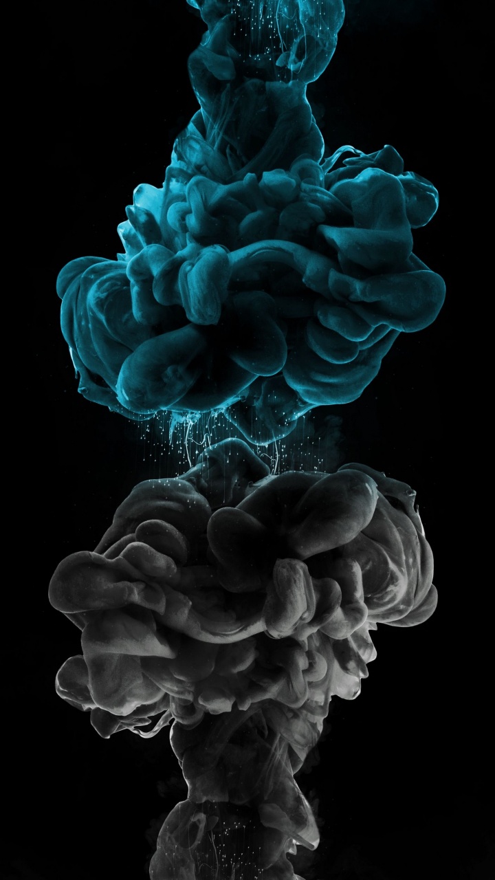 Обои растение, наземное растение, дерево, лепесток, электрик в разрешении 720x1280