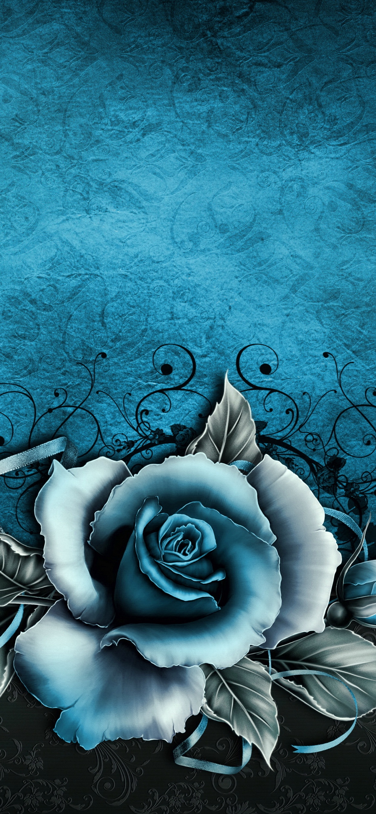 Обои Роза, синяя роза, синий, цветок, семья Роуз в разрешении 1242x2688