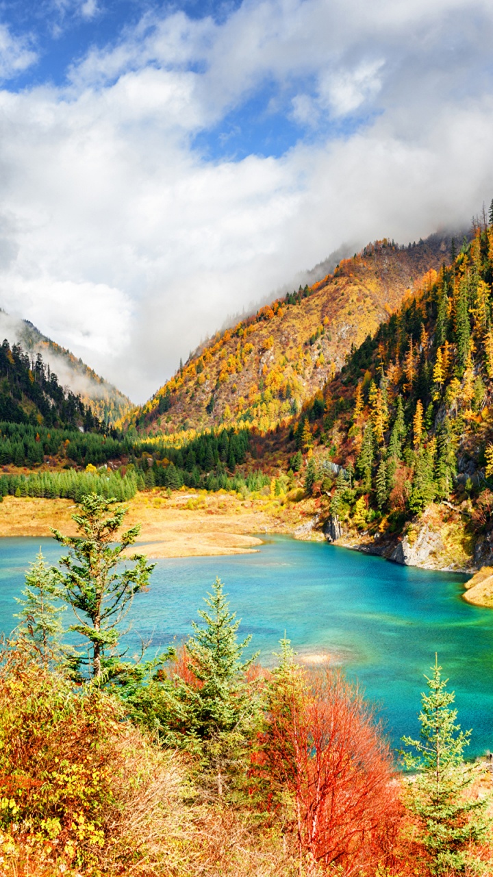 Обои цзючжайгоу, парк, природа, национальный парк, гора в разрешении 720x1280