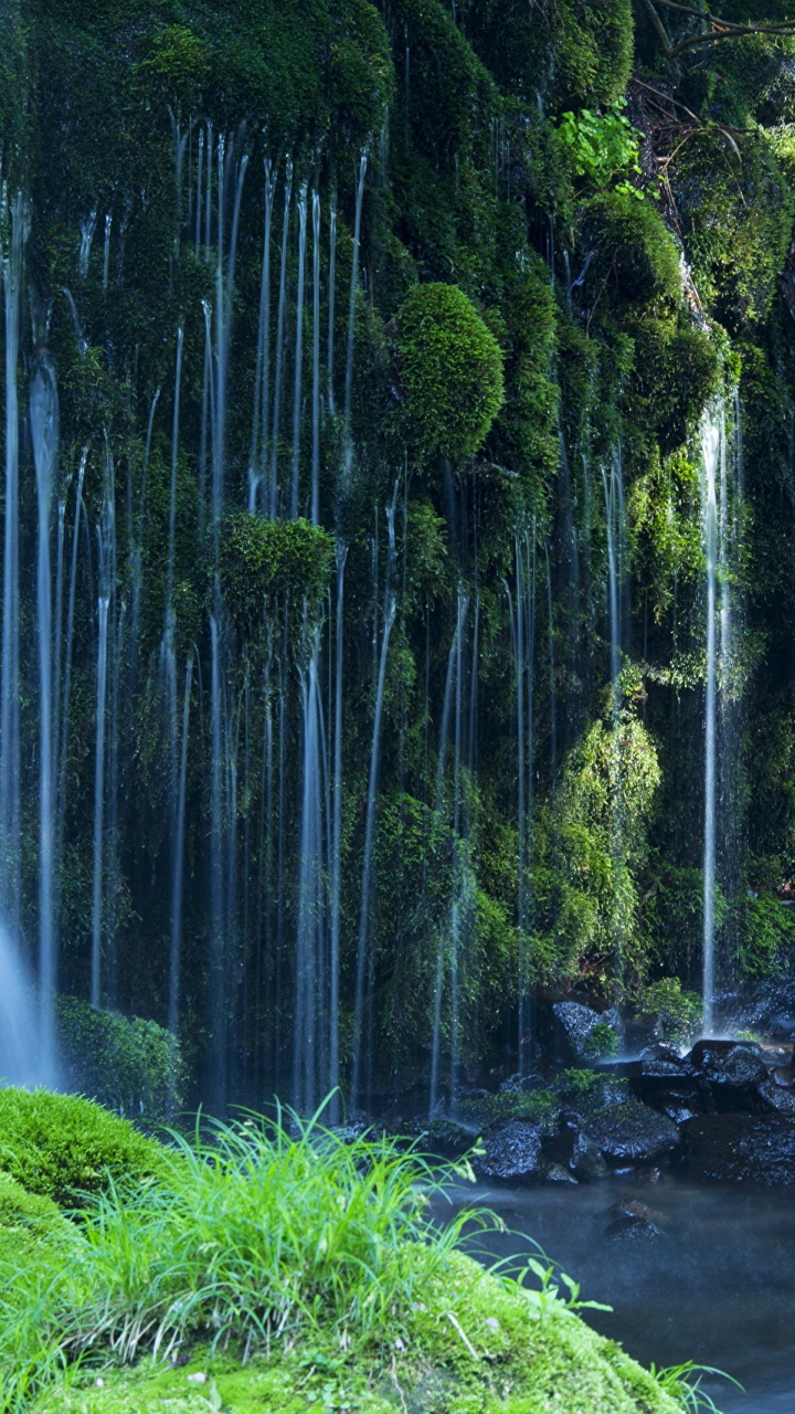 Обои водопад, фреска, гидроресурсы, водоем, природа в разрешении 720x1280