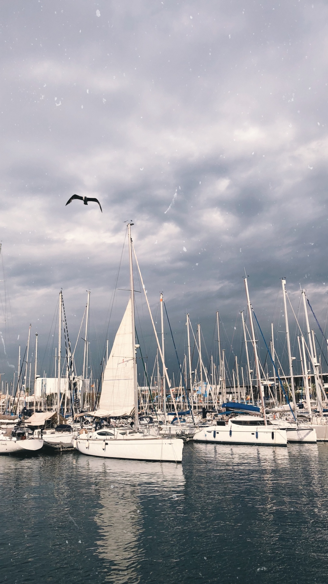 Обои облако, судно, жидкий, лодка, мачта в разрешении 1080x1920