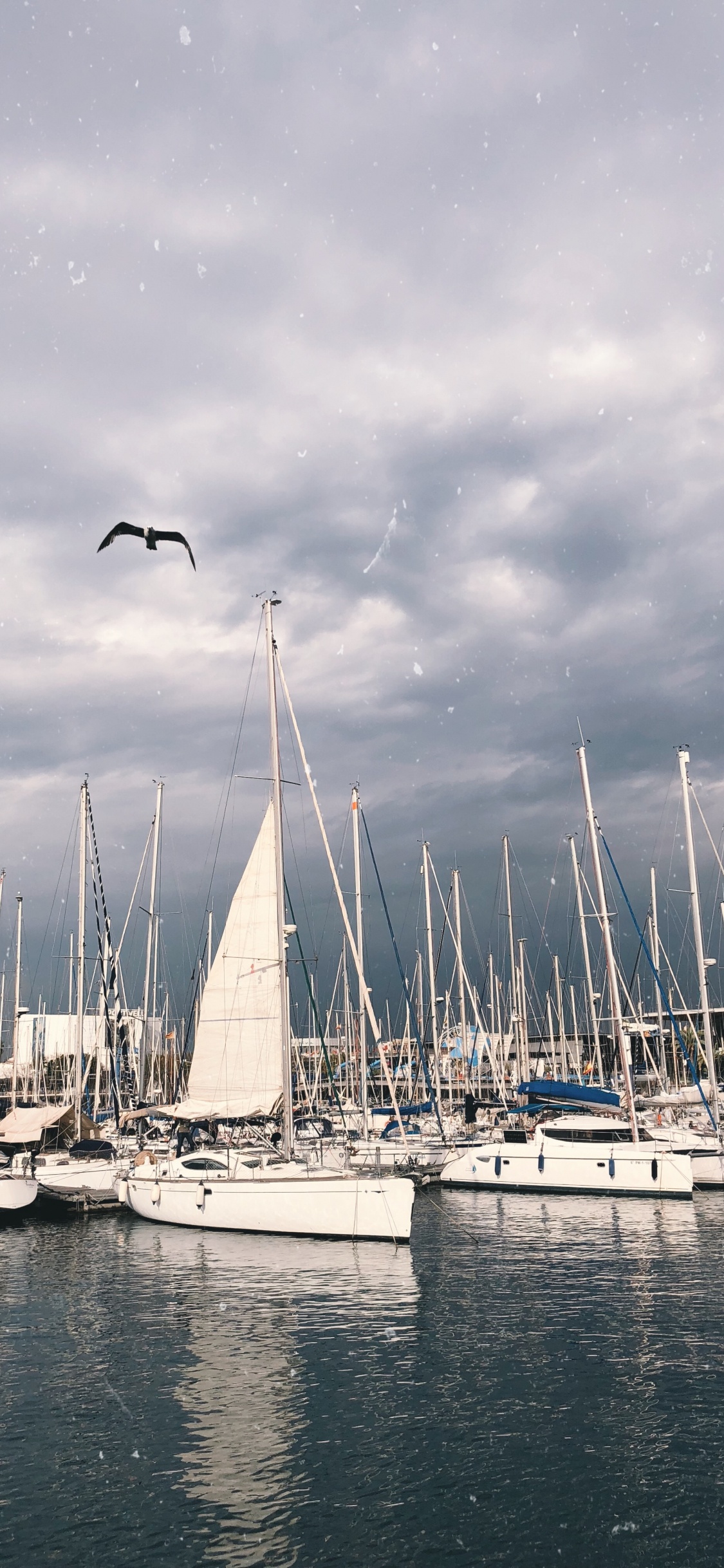 Обои облако, судно, жидкий, лодка, мачта в разрешении 1125x2436