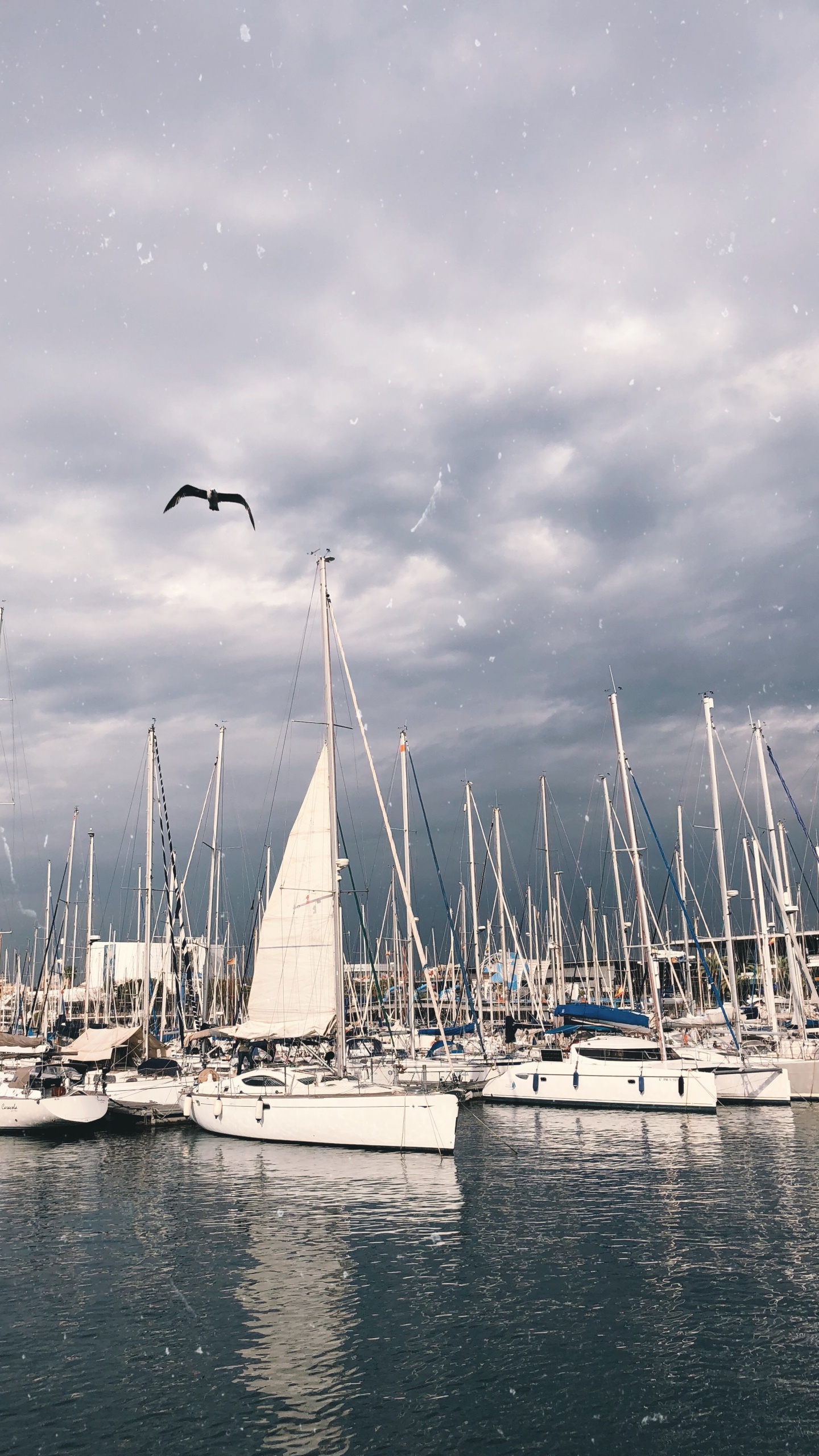 Обои облако, судно, жидкий, лодка, мачта в разрешении 1440x2560