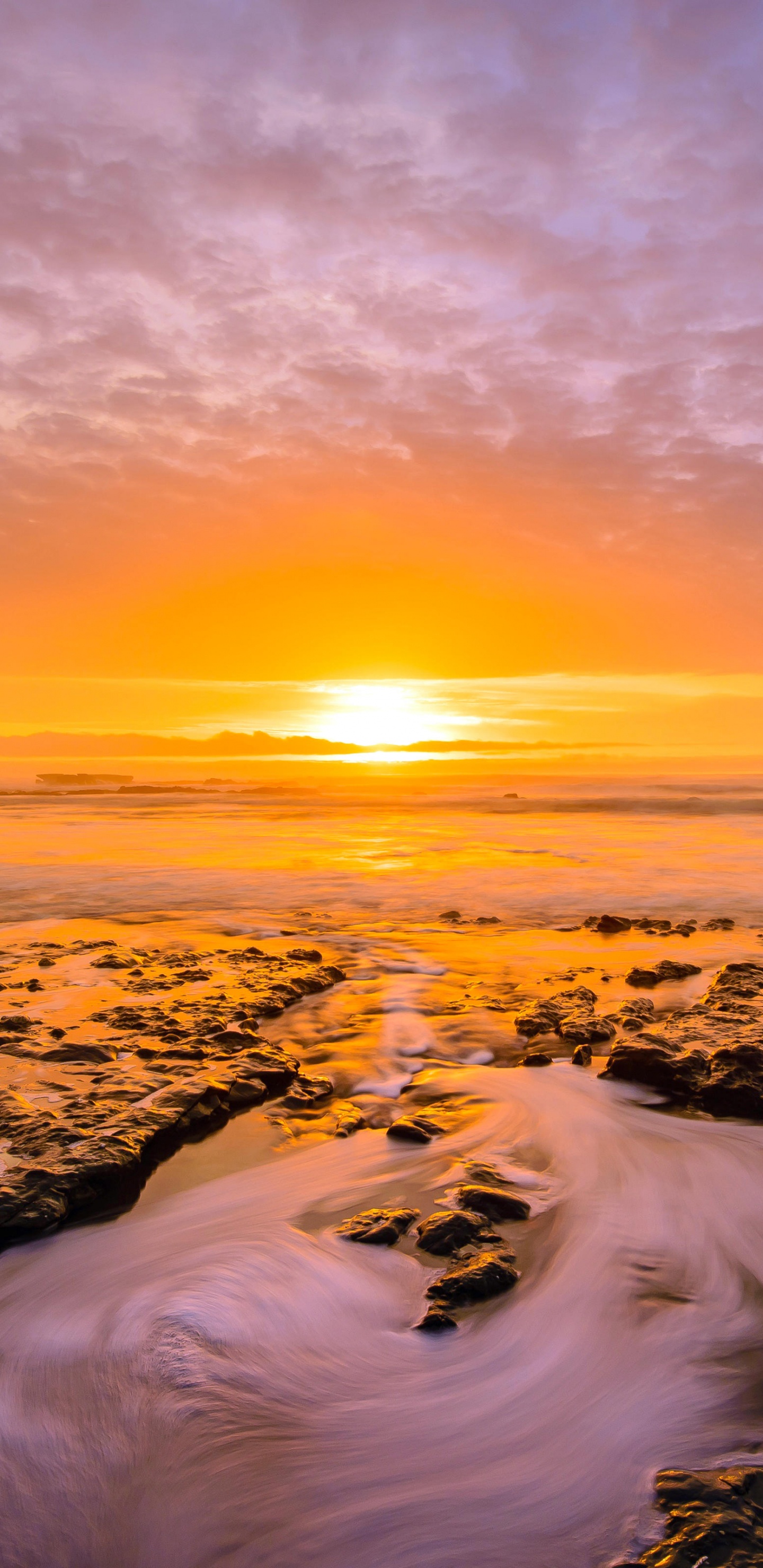 Обои утро, закат, горизонт, море, восход солнца в разрешении 1440x2960