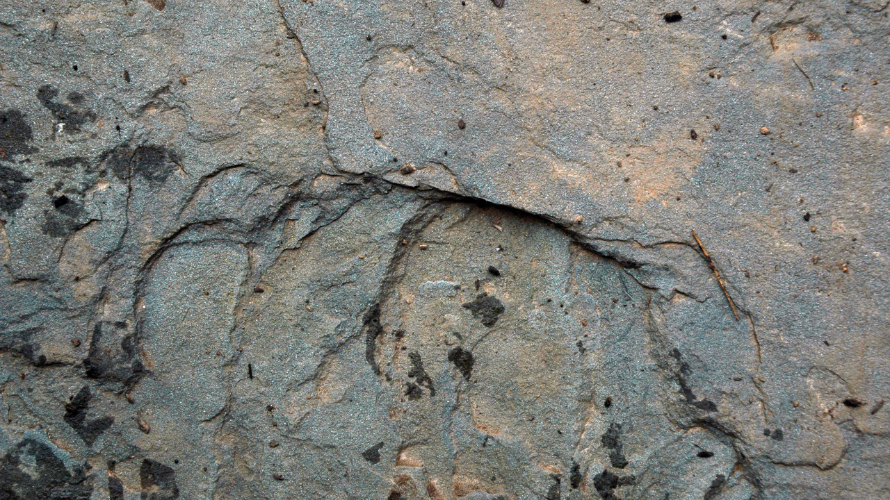 Обои геология, рок, почва, коренная порода, формирование в разрешении 1280x720