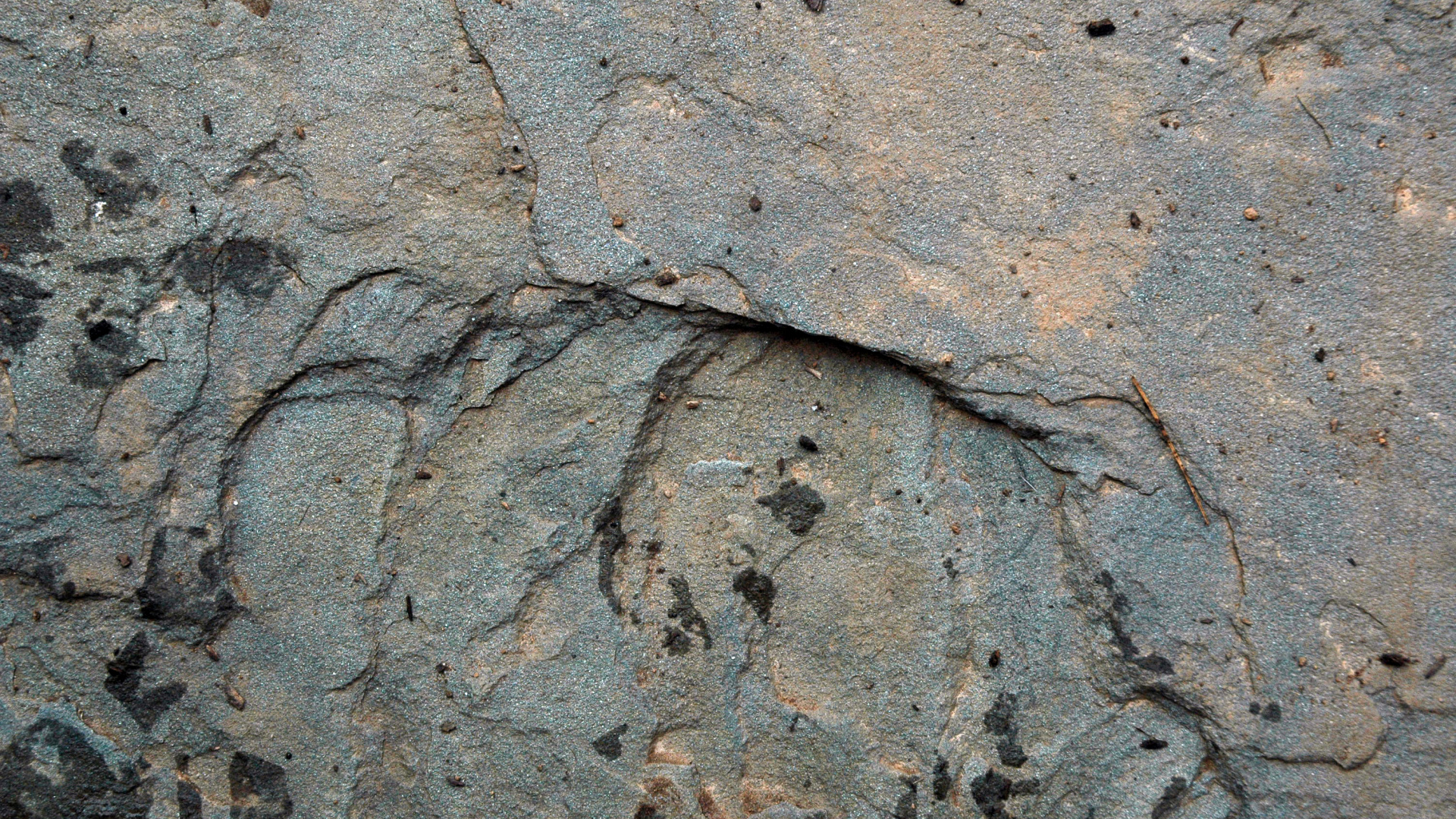 Обои геология, рок, почва, коренная порода, формирование в разрешении 1920x1080