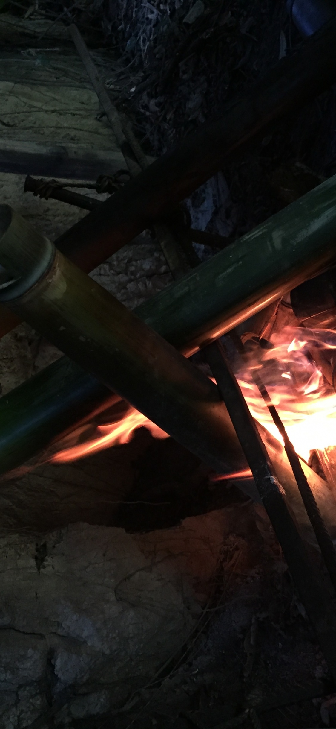 Обои костер, огонь, пламя, тепло, газ в разрешении 1125x2436