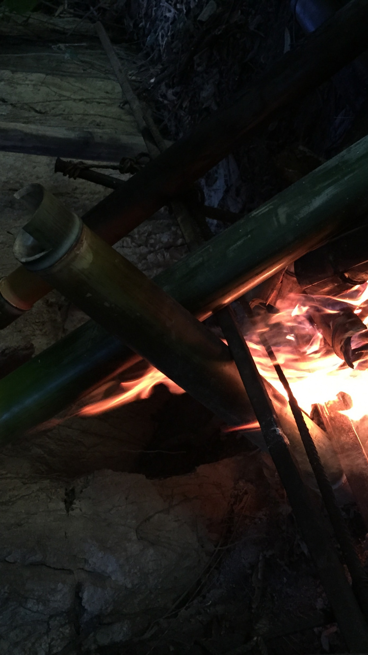 Обои костер, огонь, пламя, тепло, газ в разрешении 750x1334