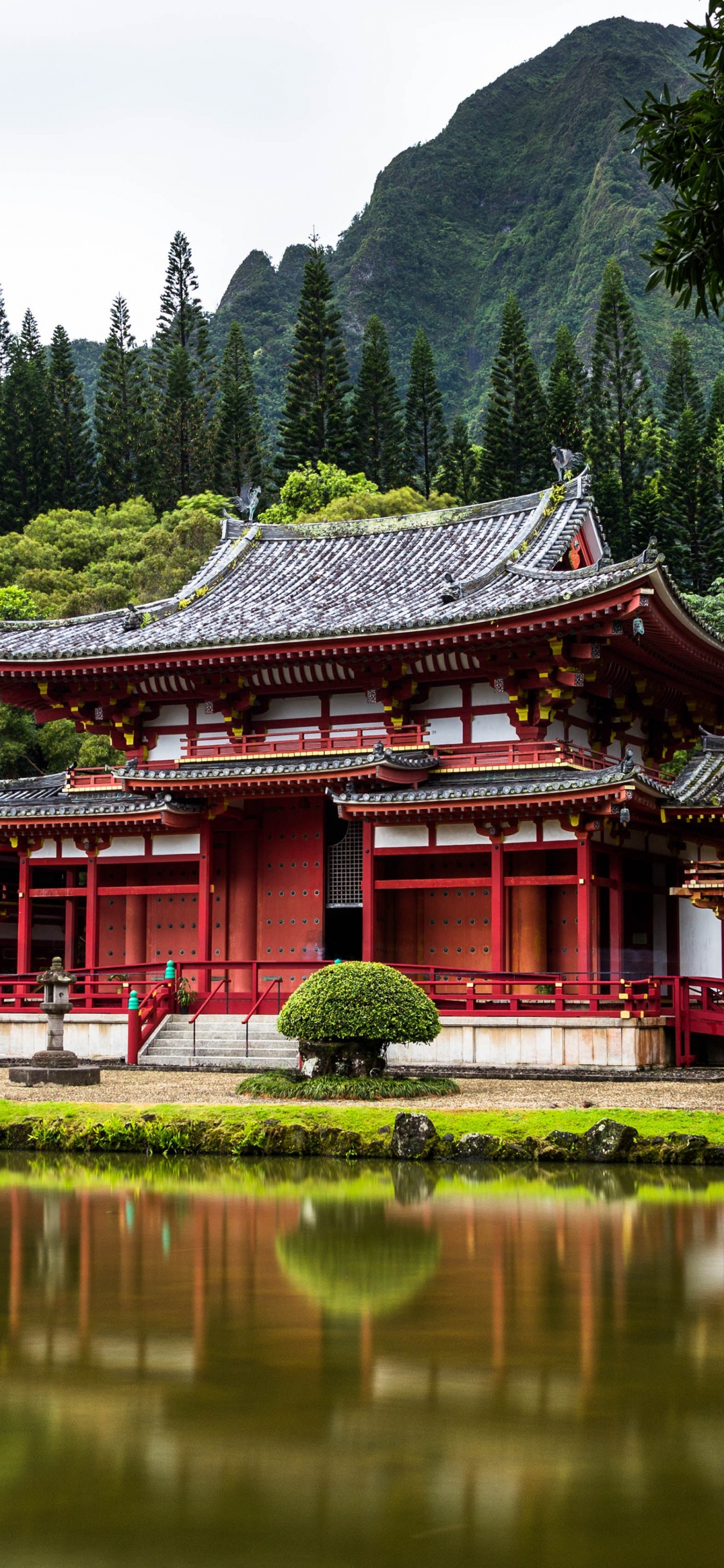 Обои Токио, Египет, австралия, Гавайи, путешествие в разрешении 1125x2436