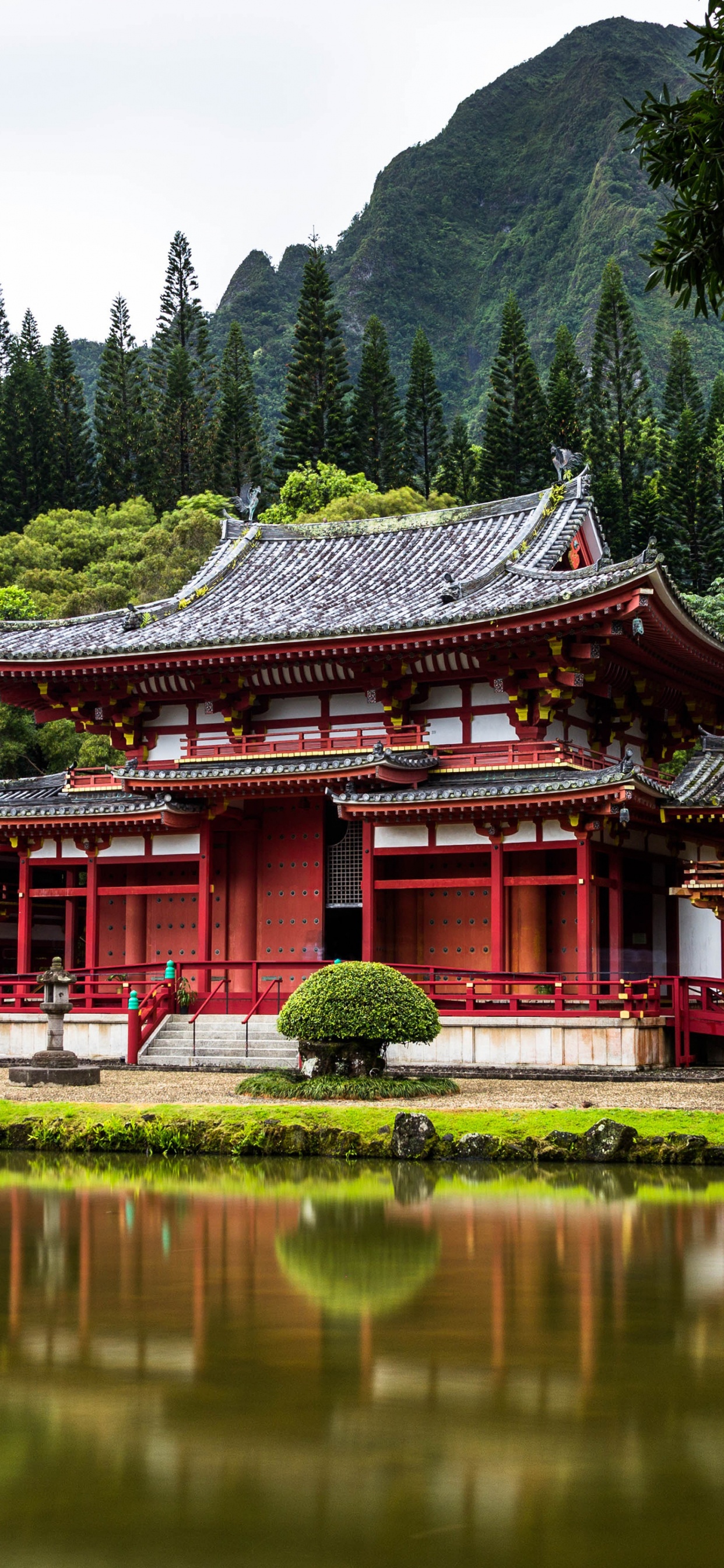 Обои Токио, Египет, австралия, Гавайи, путешествие в разрешении 1242x2688