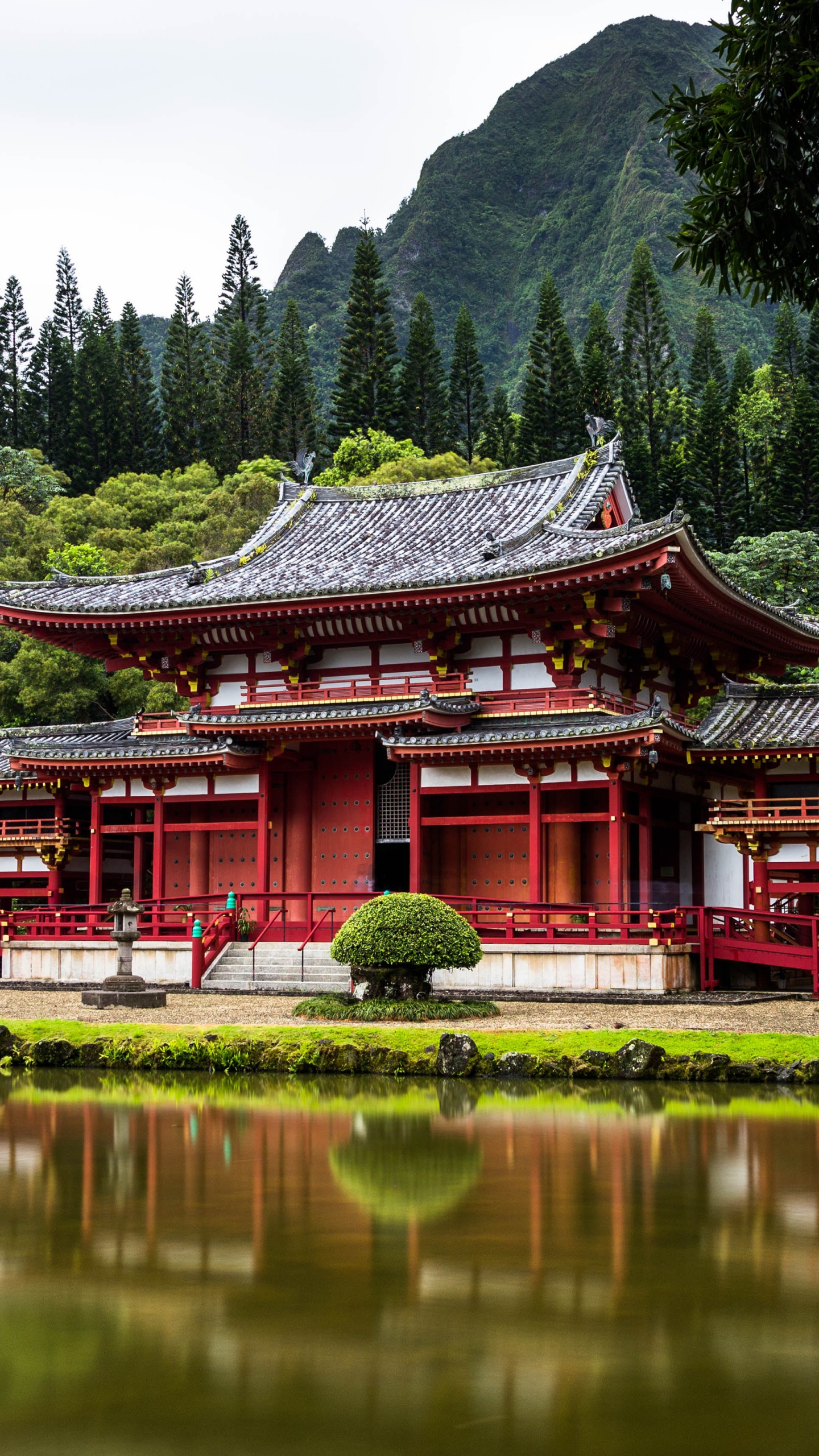 Обои Токио, Египет, австралия, Гавайи, путешествие в разрешении 1440x2560