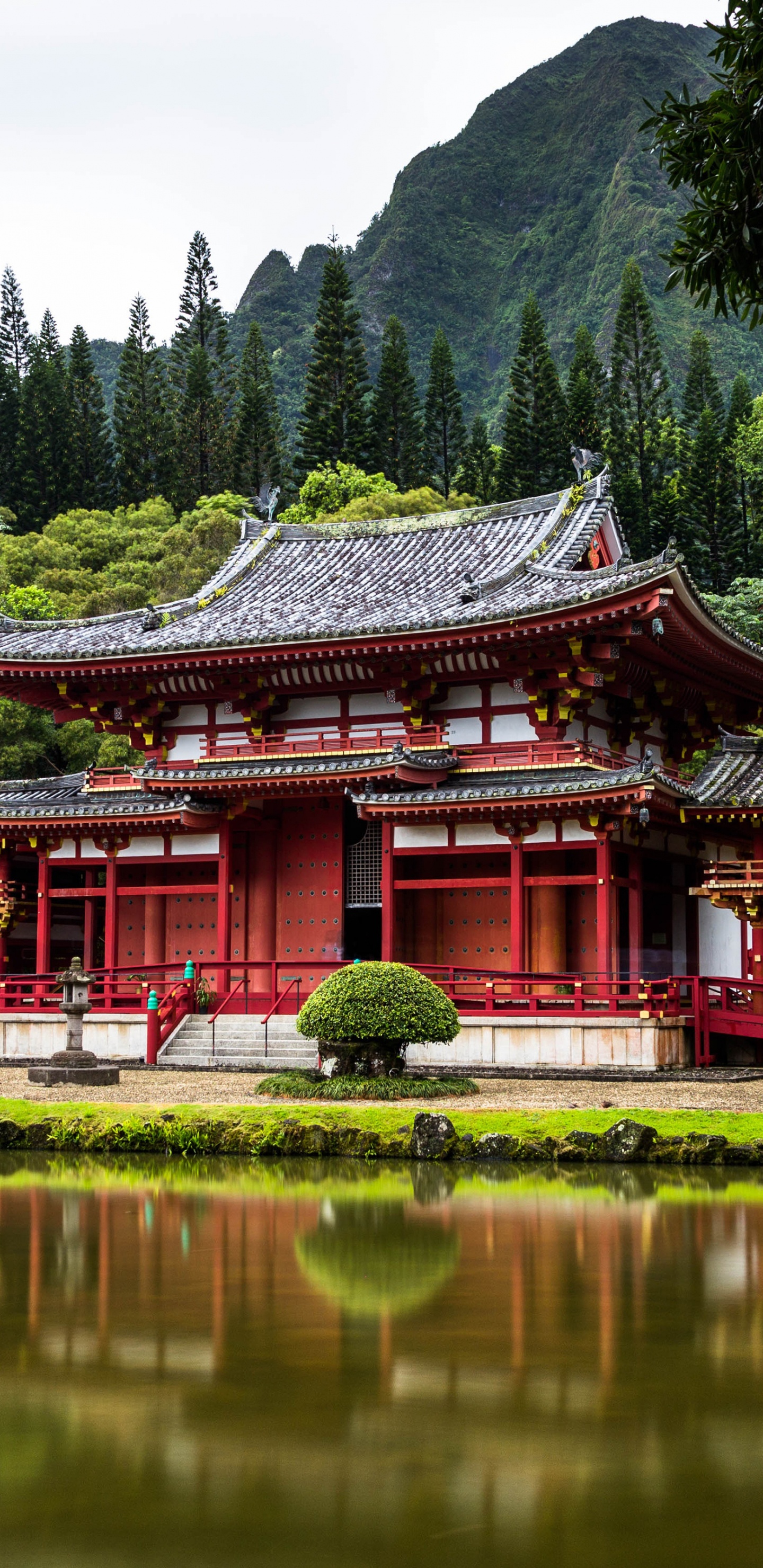 Обои Токио, Египет, австралия, Гавайи, путешествие в разрешении 1440x2960