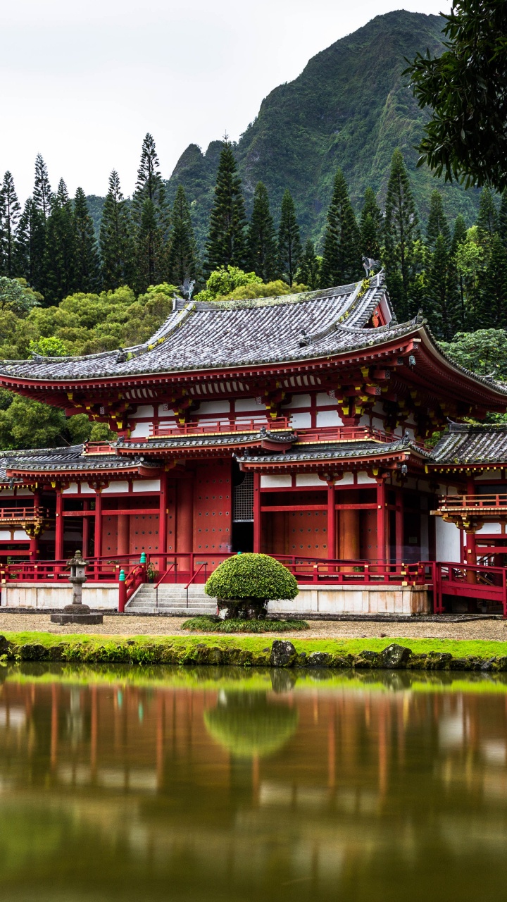 Обои Токио, Египет, австралия, Гавайи, путешествие в разрешении 720x1280