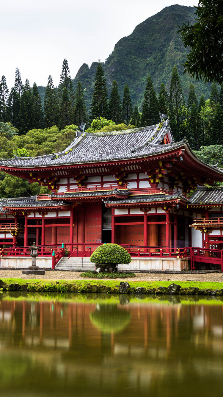 Обои Токио, Египет, австралия, Гавайи, путешествие в разрешении 750x1334