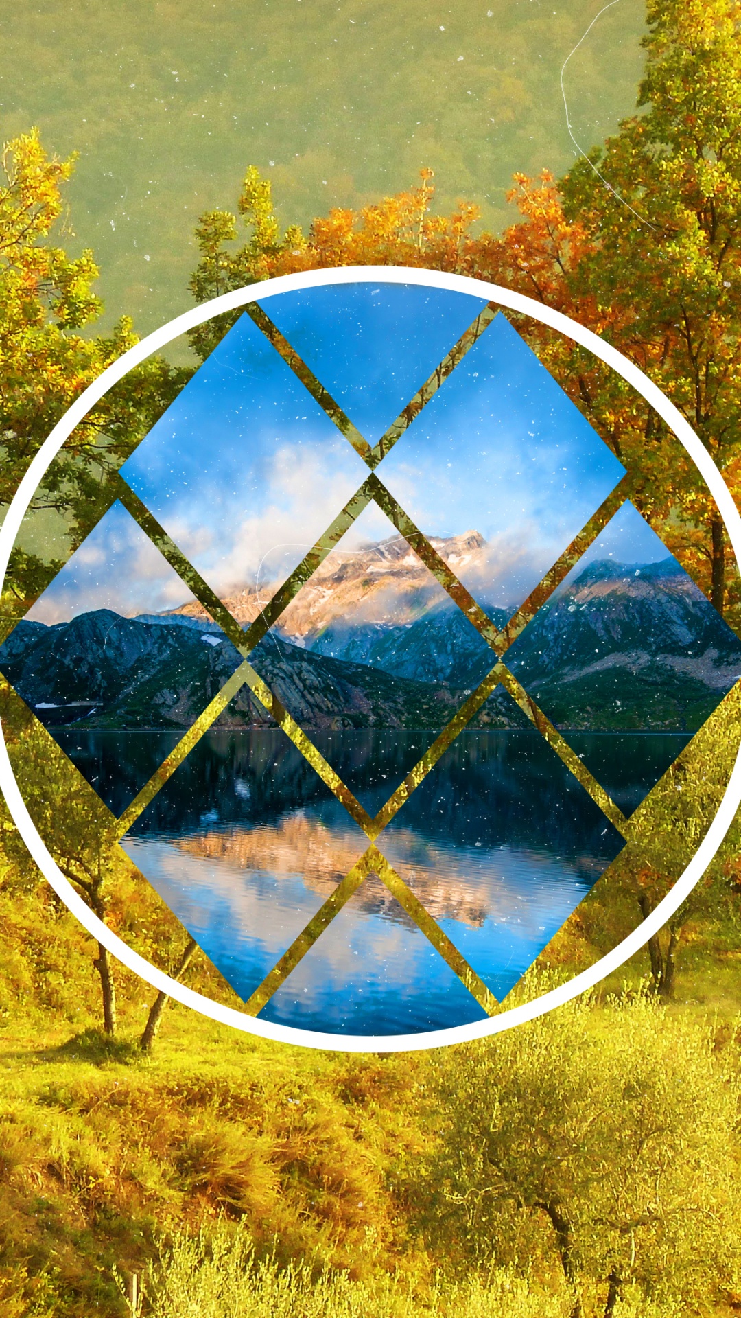 Обои дерево, растение, дневное время, мир, лист в разрешении 1080x1920