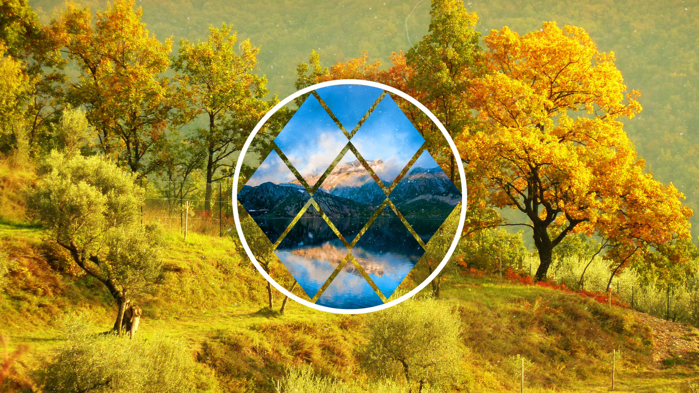 Обои дерево, растение, дневное время, мир, лист в разрешении 1366x768