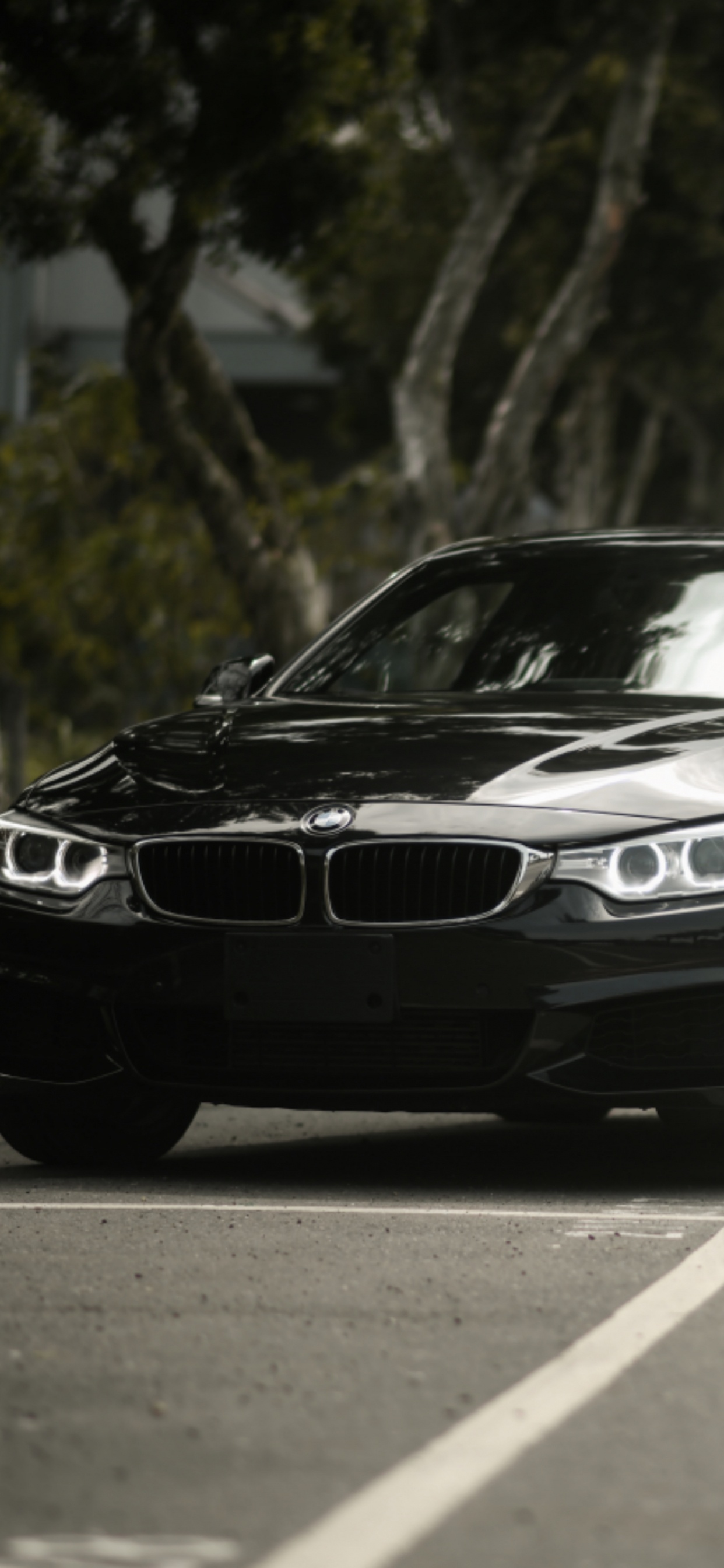 Обои BMW 4-й серии, bmw, авто, колесо, обод в разрешении 1242x2688