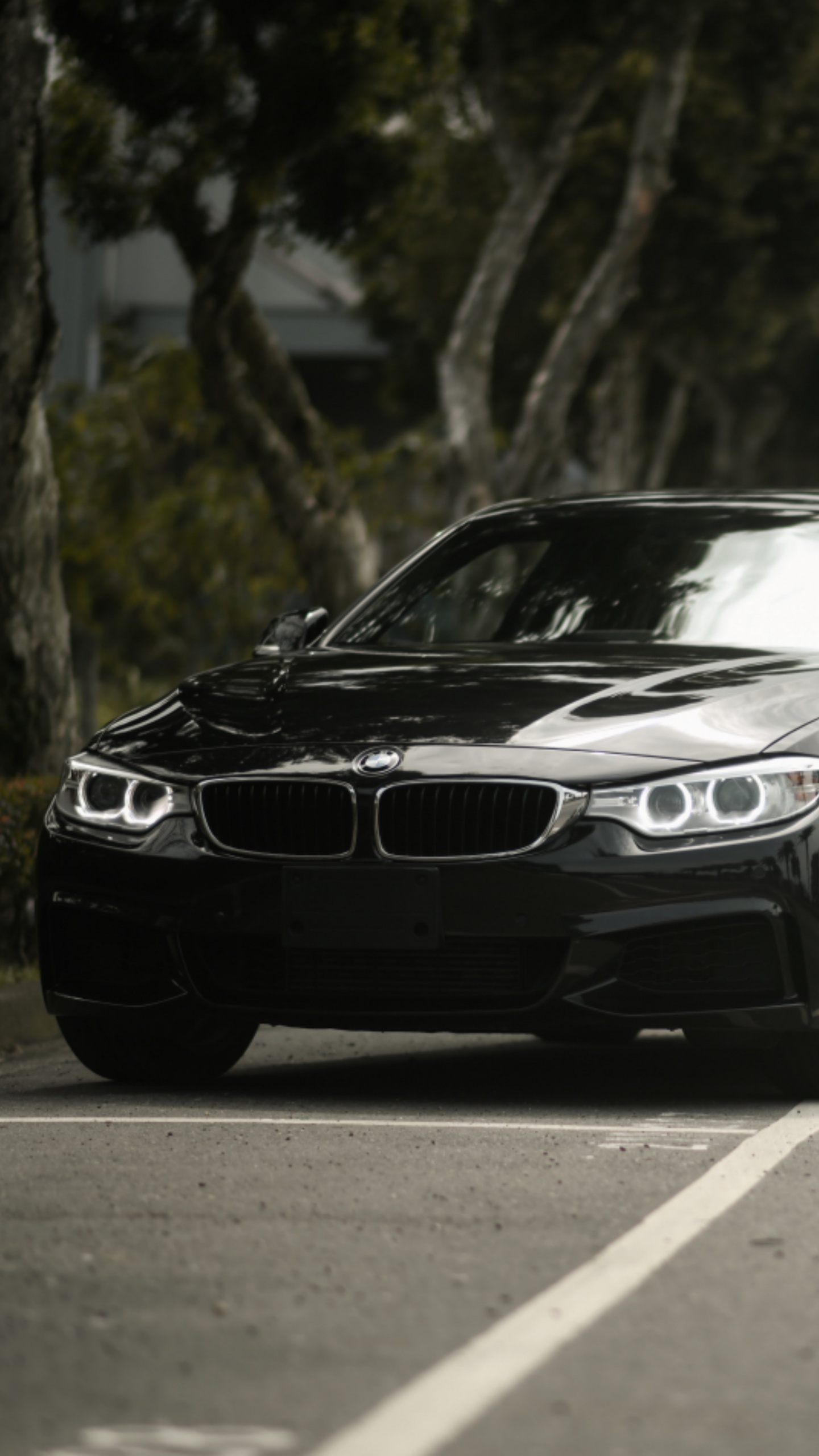 Обои BMW 4-й серии, bmw, авто, колесо, обод в разрешении 1440x2560