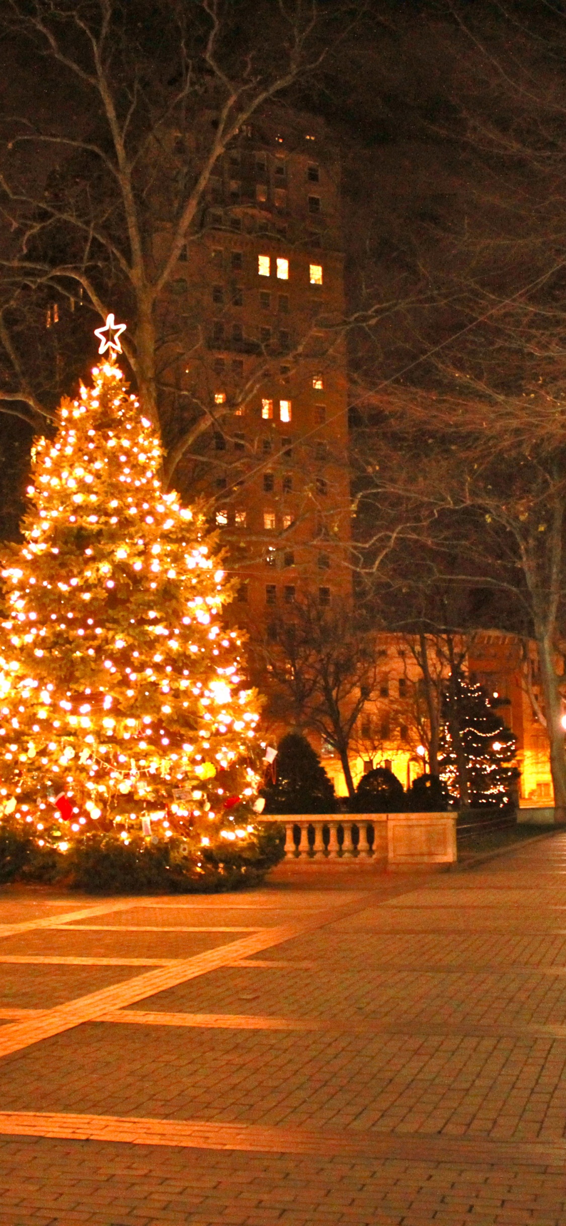 Обои Рождественский день, елка, дерево, ночь, Рождество в разрешении 1125x2436