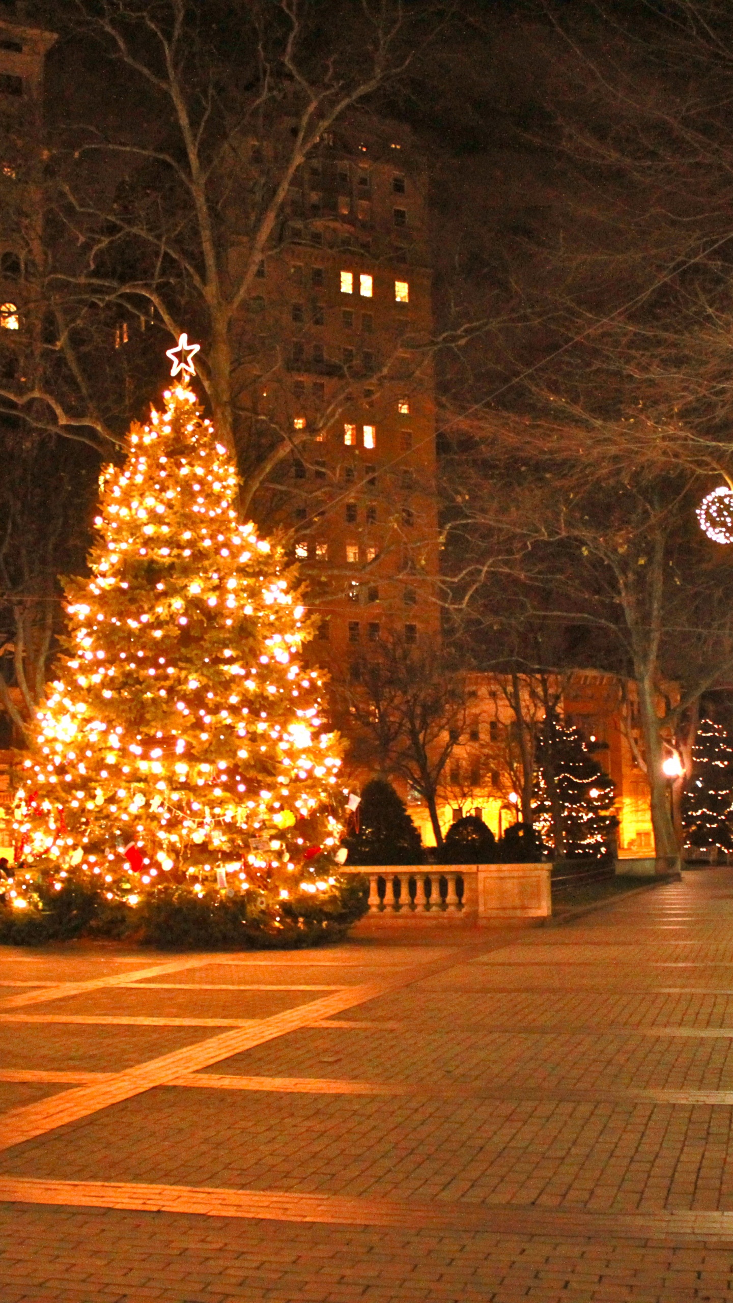 Обои Рождественский день, елка, дерево, ночь, Рождество в разрешении 1440x2560