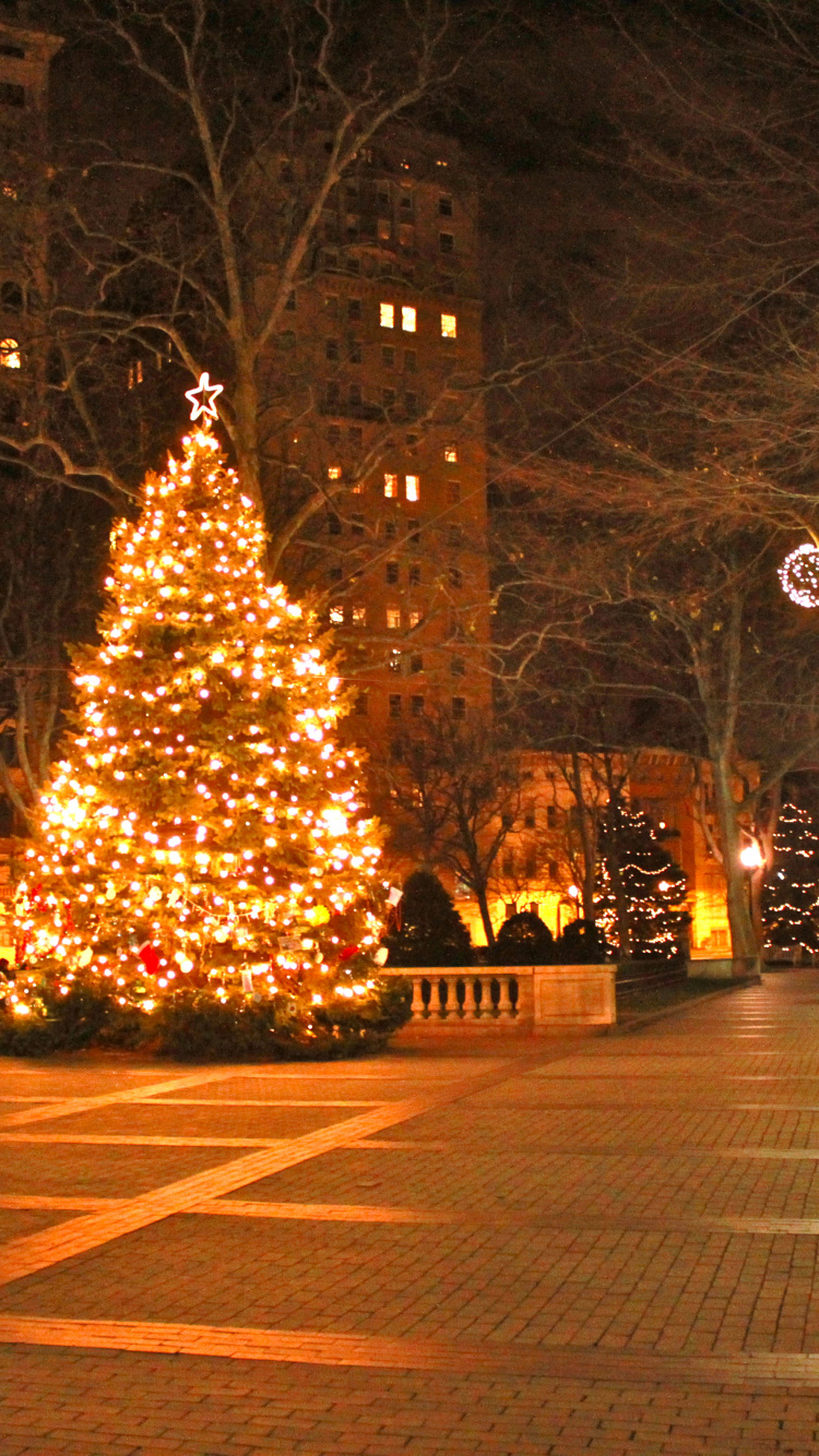 Обои Рождественский день, елка, дерево, ночь, Рождество в разрешении 750x1334