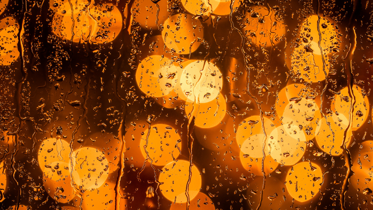 Обои Апельсин, вода, желтый, Янтарь, дождь в разрешении 1280x720