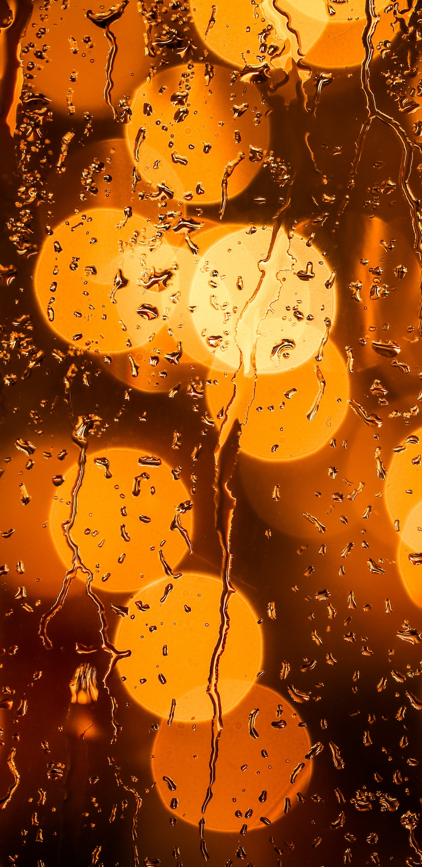 Обои Апельсин, вода, желтый, Янтарь, дождь в разрешении 1440x2960