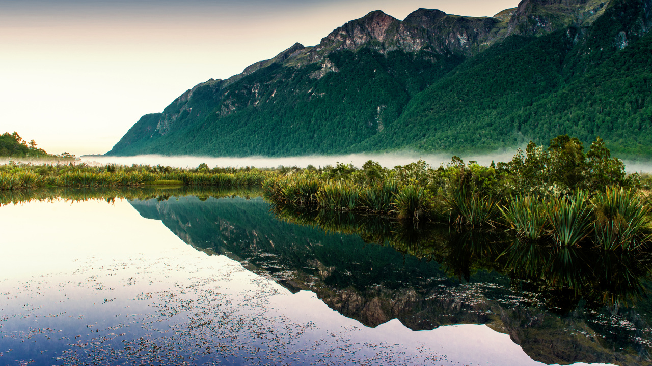 Обои Милфорд Трек, Милфорд Саунд Пиопиотахи, зеркальные озера, Национальный Парк Фьордленд, вода в разрешении 1280x720