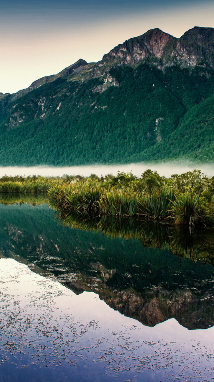 Обои Милфорд Трек, Милфорд Саунд Пиопиотахи, зеркальные озера, Национальный Парк Фьордленд, вода в разрешении 750x1334