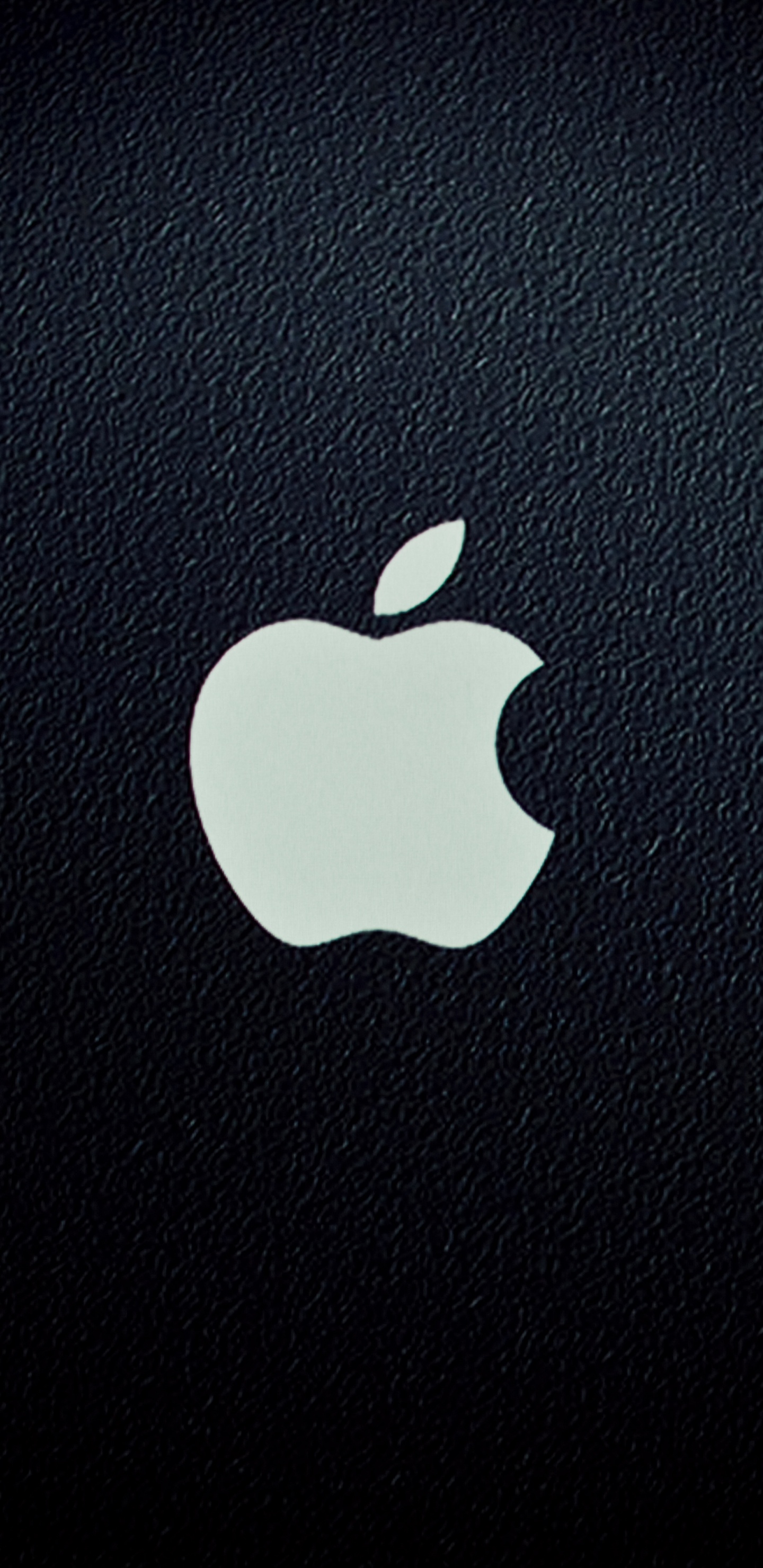 Обои apple, лого, графика, черный, смартфон в разрешении 1440x2960