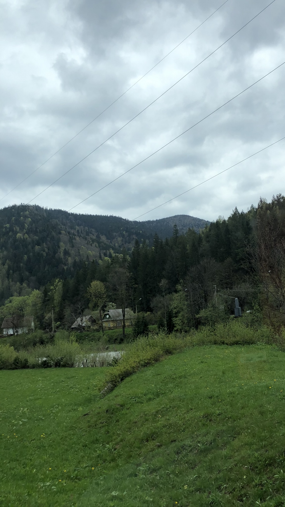 Обои Карпаты, нагорье, растительность, дерево, природный ландшафт в разрешении 1080x1920