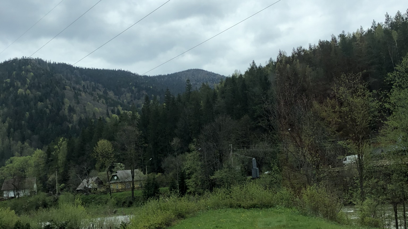 Обои Карпаты, нагорье, растительность, дерево, природный ландшафт в разрешении 1366x768