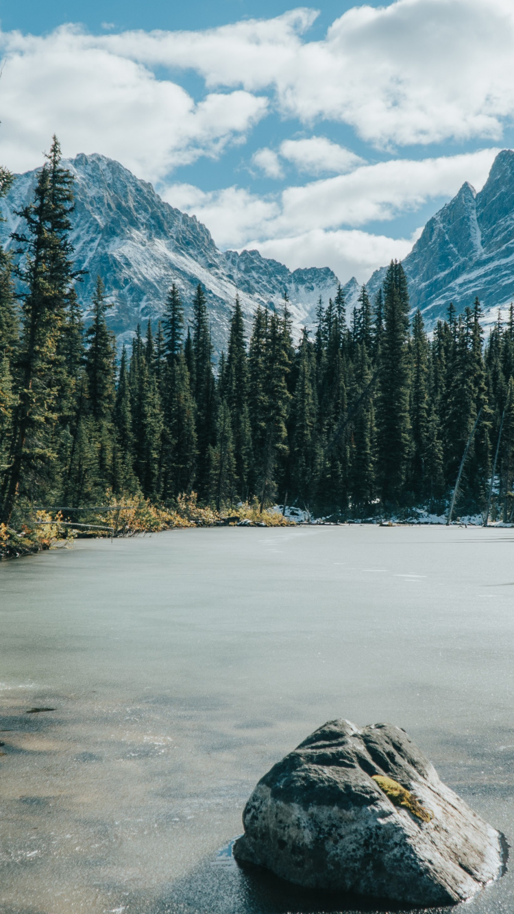 Обои замерзшее озеро и лес, Национальный Парк Джаспер Канада, лес, озеро Луиза, озеро в разрешении 750x1334