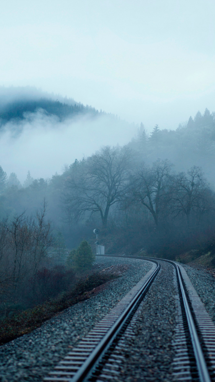 Обои дымка, трек, туман, транспорт, атмосфера в разрешении 750x1334
