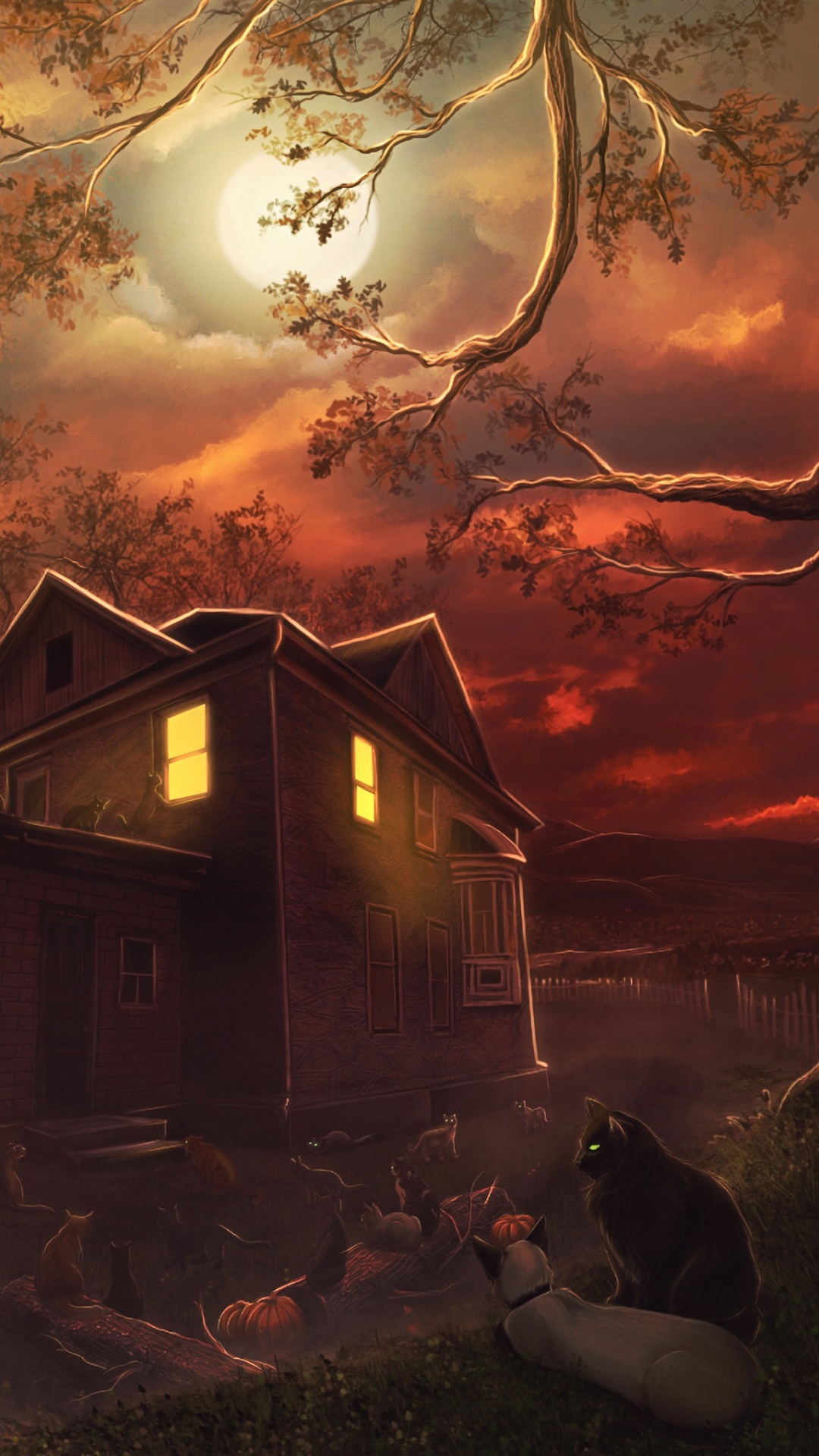 Обои рассказ, Цифровой композитинг, Автор, кот, котенок в разрешении 1080x1920