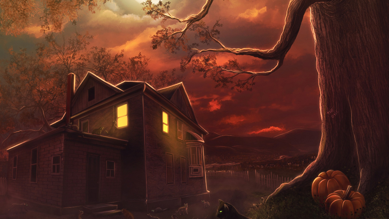 Обои рассказ, Цифровой композитинг, Автор, кот, котенок в разрешении 1366x768