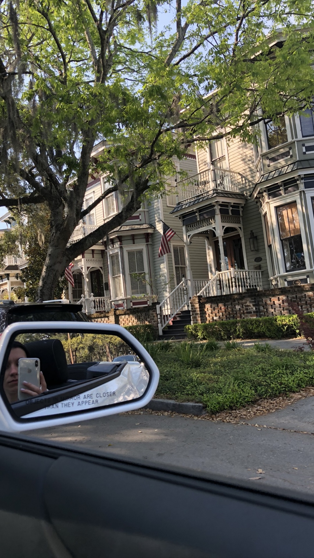 Обои дерево, Король, компактный автомобиль, малолитражный автомобиль, автомобиль среднего размера в разрешении 1080x1920