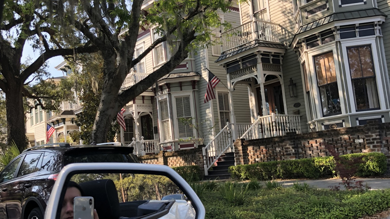 Обои дерево, Король, компактный автомобиль, малолитражный автомобиль, автомобиль среднего размера в разрешении 1280x720