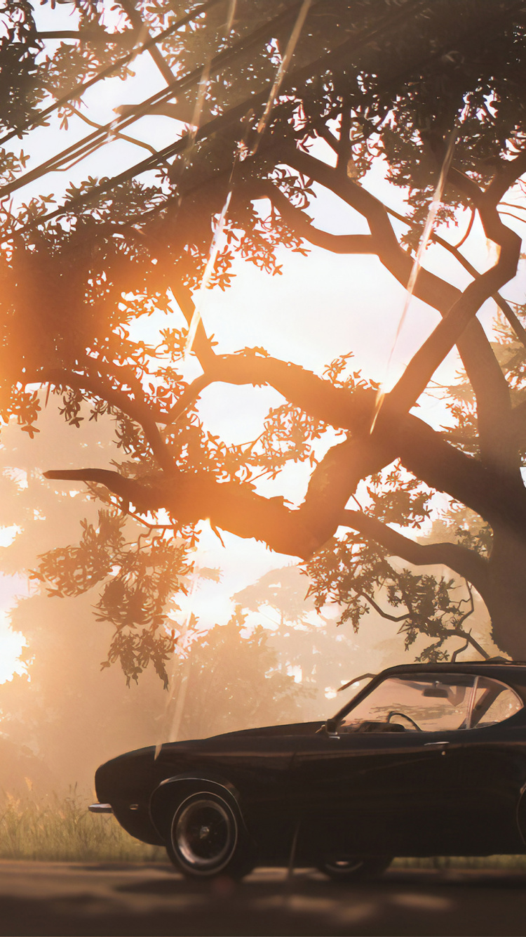 Обои mafia 3, авто, мускул кар, солнечный свет, седан в разрешении 750x1334