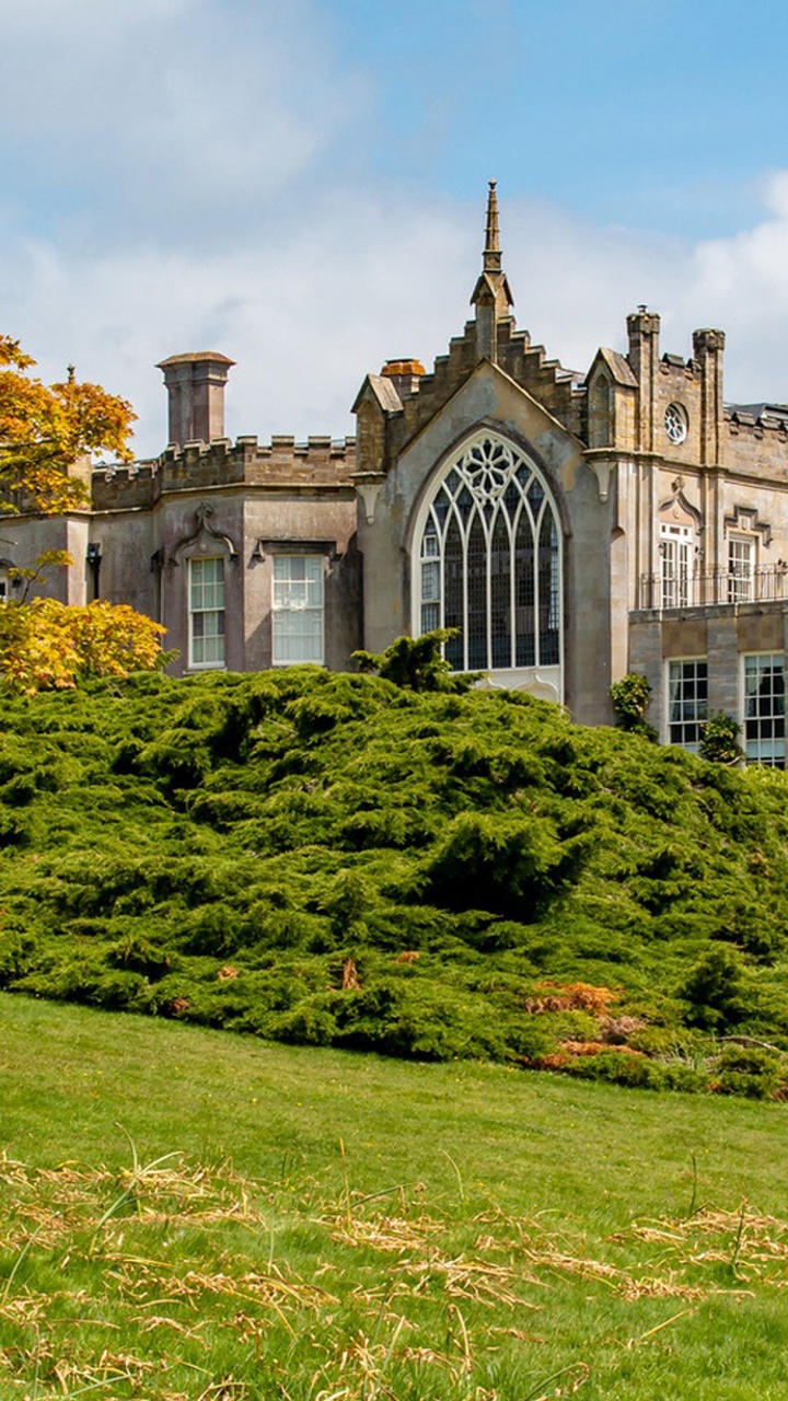 Обои природа, облако, растение, здание, дерево в разрешении 720x1280