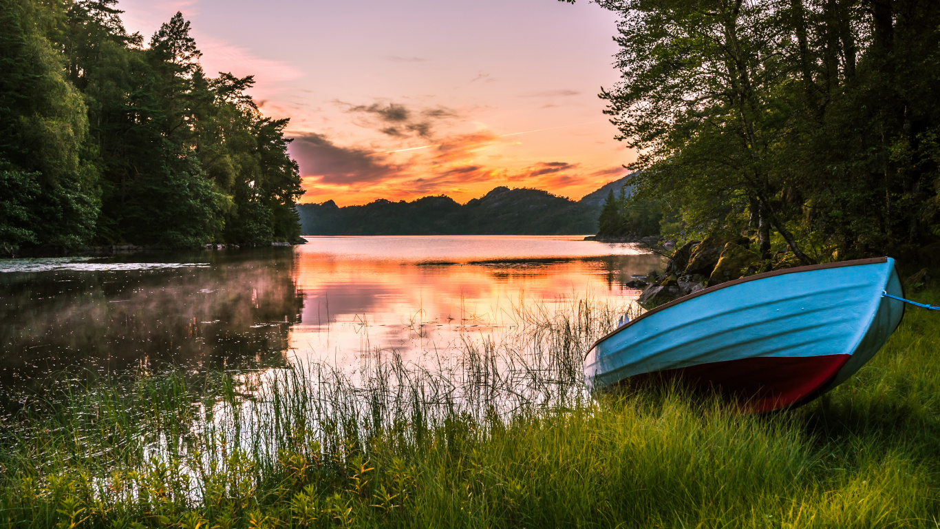 Обои лодка, Банк, озеро, вода, растение в разрешении 1366x768
